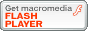 Get the Flash Player