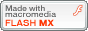 Made with Flash Icon